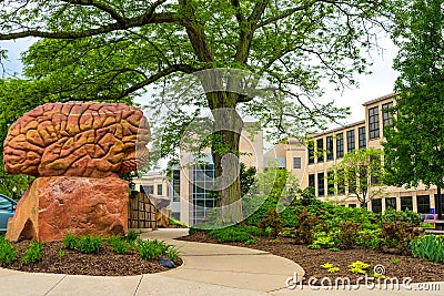 Kent State University Brain Plaza Editorial Stock Photo